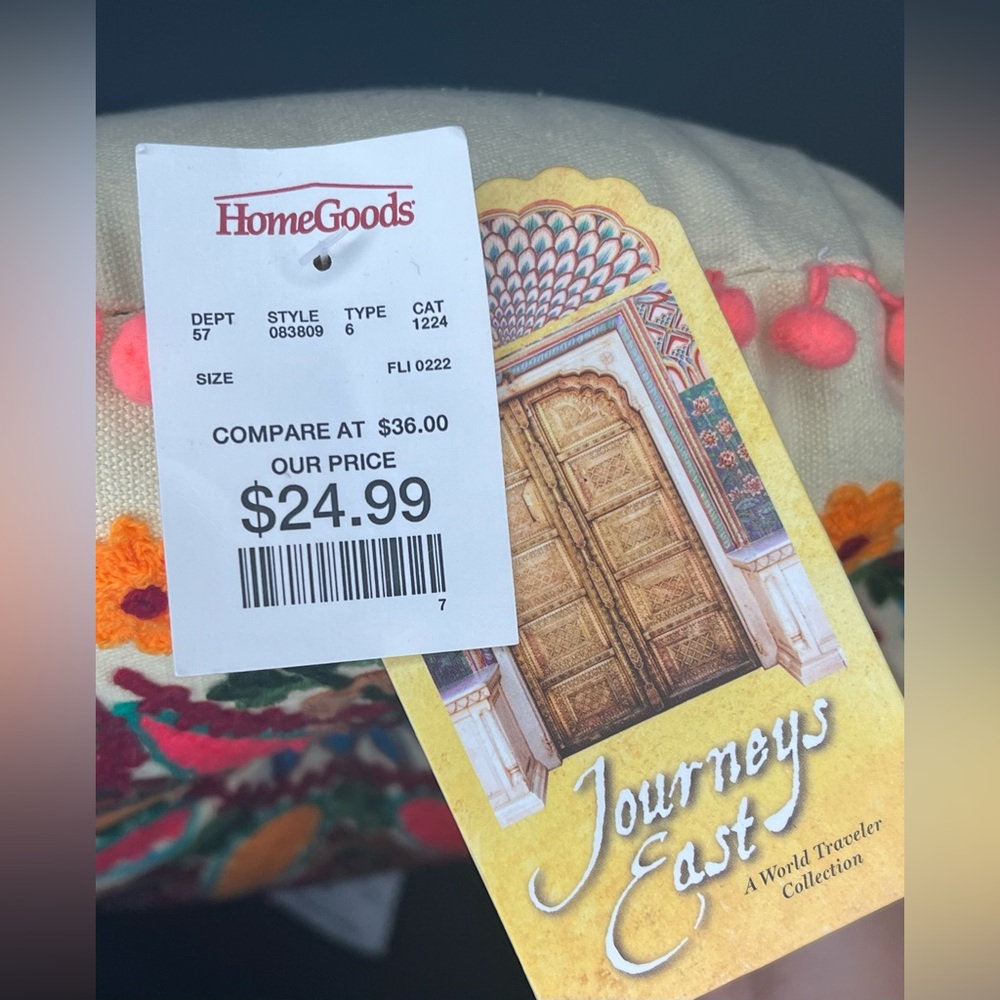 NEW Journeys East Accent Pillow from Homegoods - Picture 8 of 8